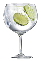 gin tonic